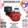 MOTOR INDUSTRIAL 6.5 HP